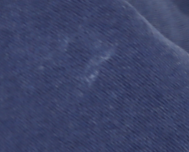 Lacoste Men's Blue Slim Fit Polo Shirt L