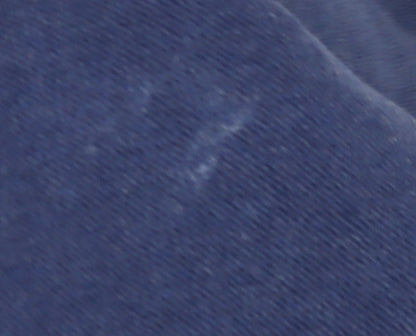 Lacoste Men's Blue Slim Fit Polo Shirt L