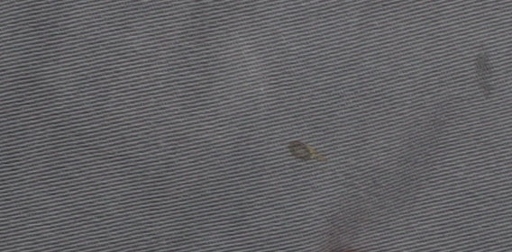 Zara Men Grey Slim Fit Chino Trousers, Size 40