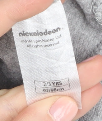 Nickelodeon Boys Grey PAW Patrol Hoodie 2-3 Years Pullover