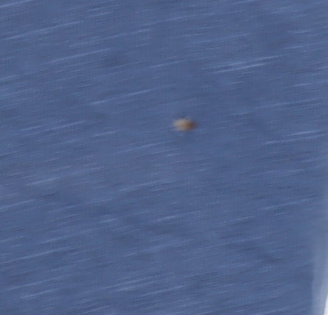 White Stuff Men's Blue Cotton T-Shirt, Size L, Classic Crew Neck