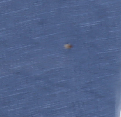 White Stuff Men's Blue Cotton T-Shirt, Size L, Classic Crew Neck