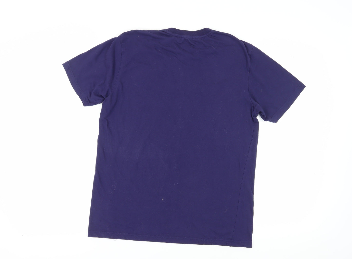 Men's Blue Regular Fit Sports T-Shirt L