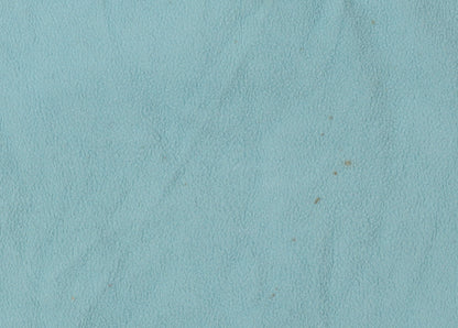 Champion Women's Blue Fleece Sweatshirt Size XL