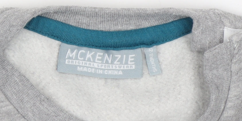 McKenzie Boys Grey Pullover Sweatshirt, 2 Years, Casual Logo Design