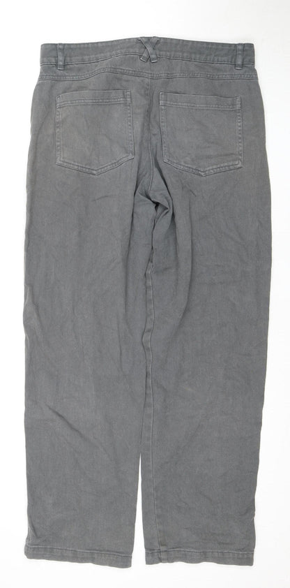 Animal Women's Grey Straight Jeans Size 4