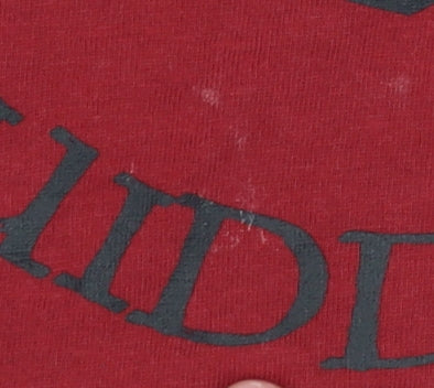 Harry Potter Boys Red T-Shirt 5-6 Years Quidditch Graphic