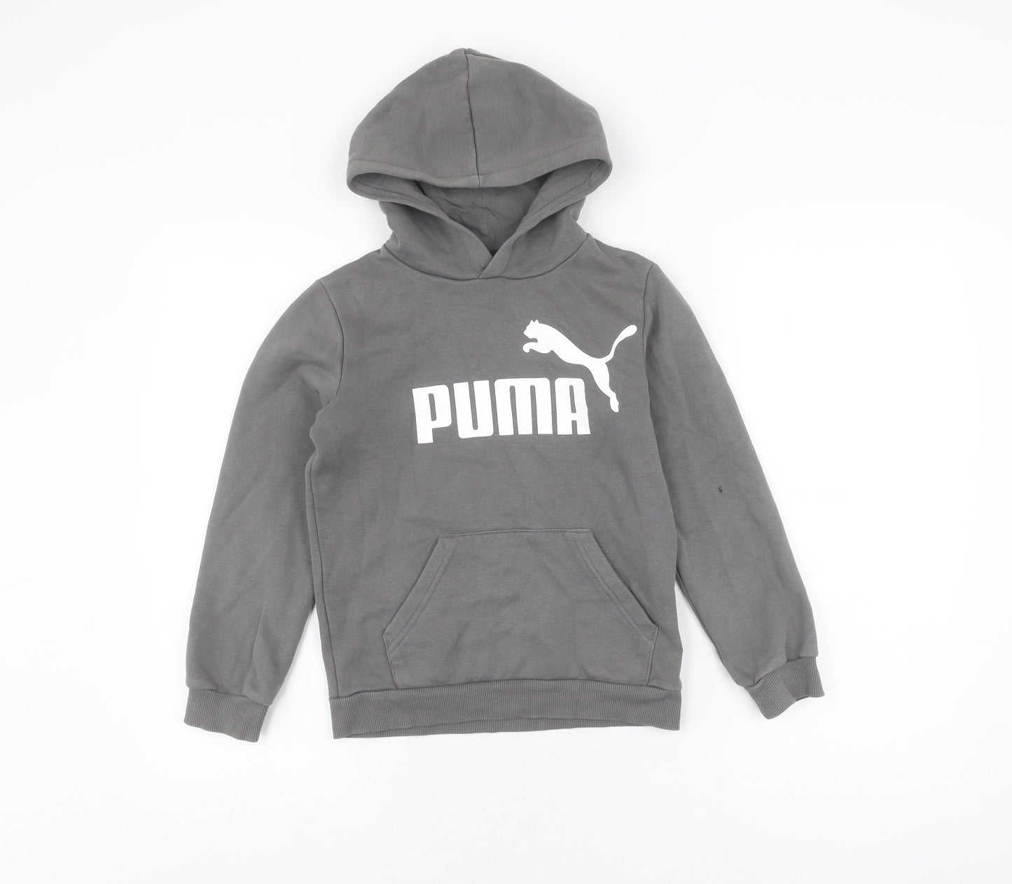 Puma Boys Grey Pullover Hoodie, Size M, Logo Accent