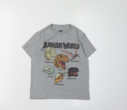 Boys Jurassic World Grey Graphic T-Shirt XS
