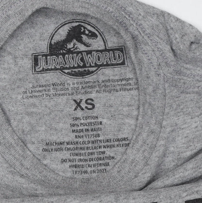 Boys Jurassic World Grey Graphic T-Shirt XS