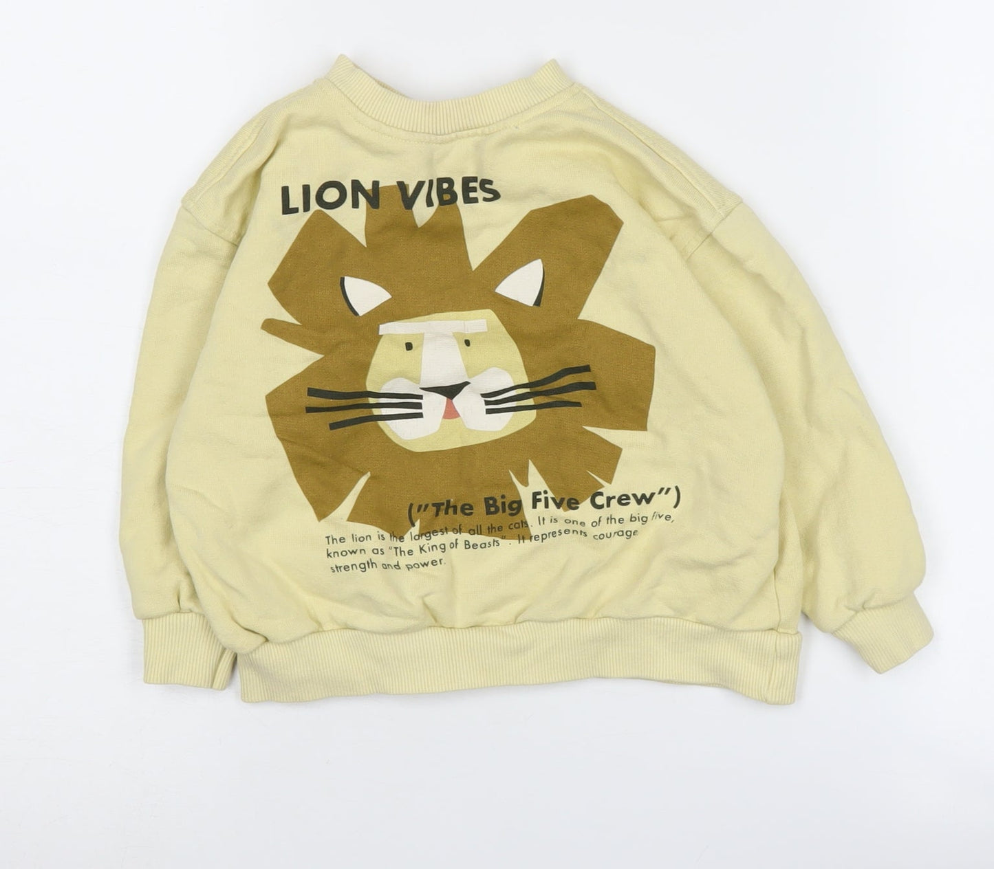 Zara Boys Beige Graphic Print Sweatshirt 2-3 Years Pullover