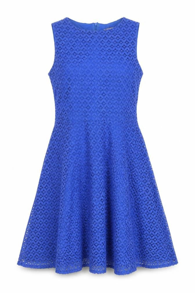 Front view of Wallis Blue Lace Fit & Flare Dress Women, size 10