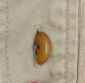 Marks and Spencer Men's Beige Cotton Polo, M