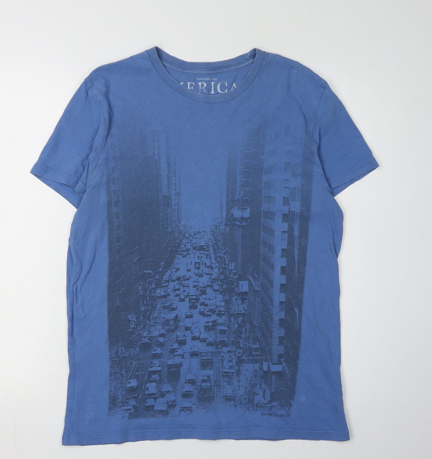 Mens UK Size M American Eagle Outfitters Blue  T-Shirt