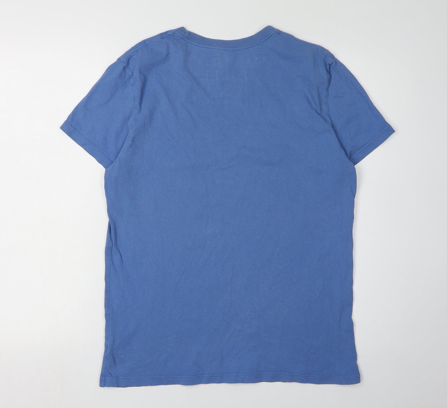 Mens UK Size M American Eagle Outfitters Blue  T-Shirt
