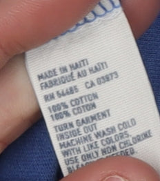 Mens UK Size M American Eagle Outfitters Blue  T-Shirt