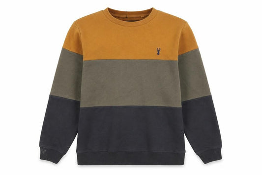 Next Boys Multicolour Pullover Sweatshirt, 12Y, Crew Neck