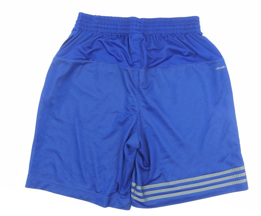 Adidas Men's Blue Shorts L - Gym & Running