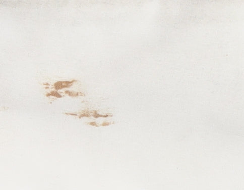 Jessica Simpson Women's White Zip Jacket, L, Casual Wear