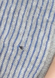 Petroleum Men's Blue XL Striped Cotton Polo