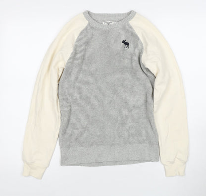 Abercrombie Kids Boys Grey Pullover Jumper Size 13-14 Years