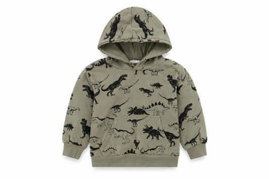 H&M Boys Green Dinosaur Print Pullover Hoodie, 4-5 Years