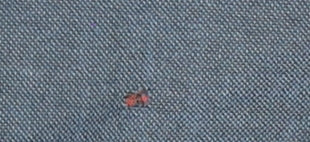 Mens UK Size 42 NEXT Regular Blue Suit Jacket