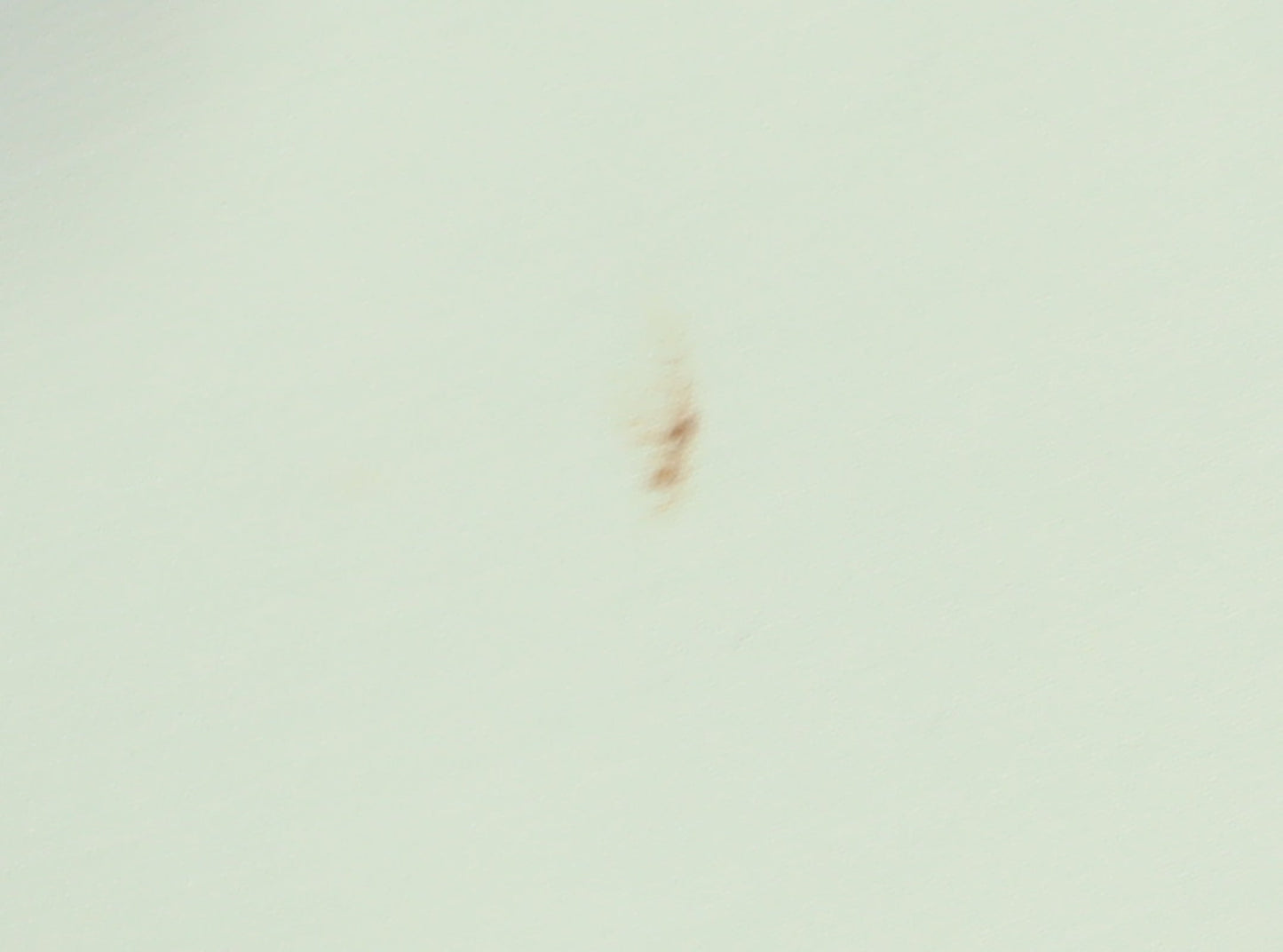 BHS Women's Green Mini Skirt, Size 20, Knee Length