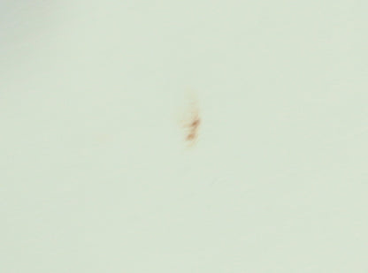 BHS Women's Green Mini Skirt, Size 20, Knee Length