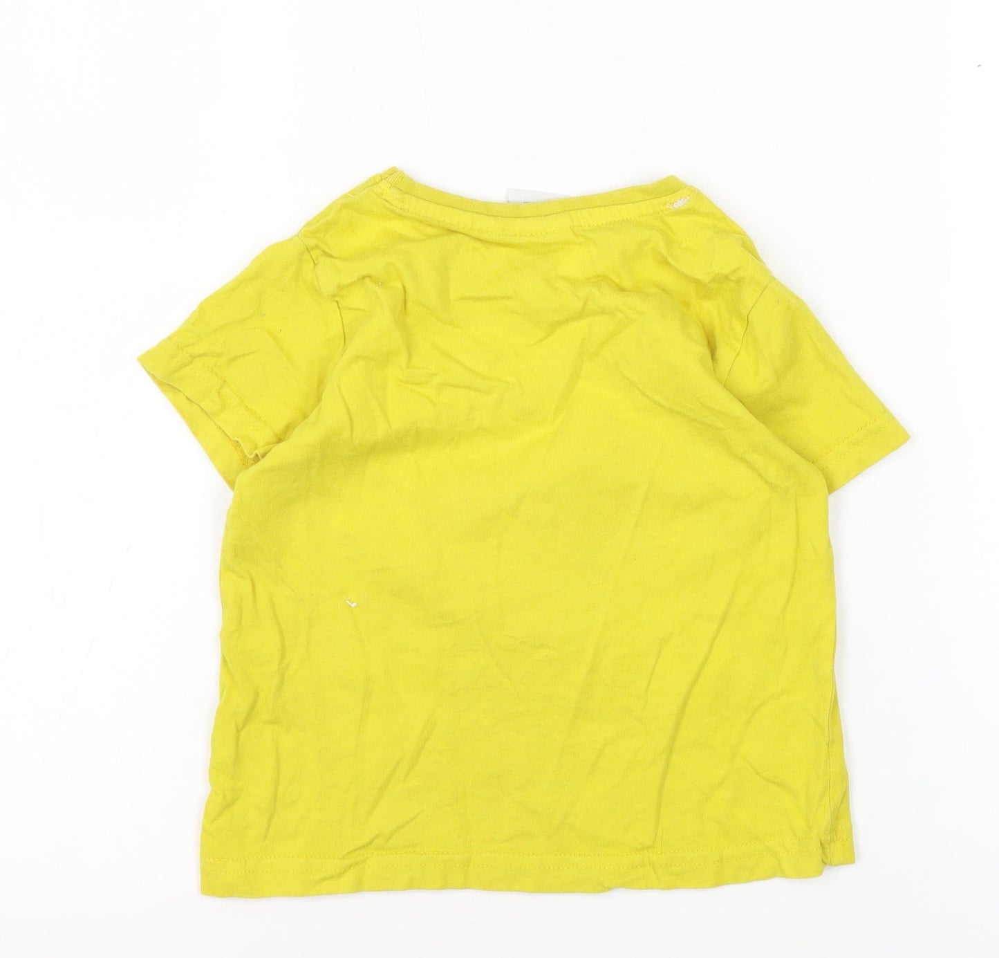 Boys Yellow Minions Graphic T-Shirt 2-3 Years
