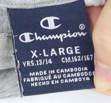 Champion Boys Grey XL Logo Pullover Hoodie