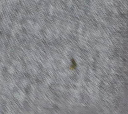 Clements Ribeiro Women's Grey Star Cardigan XL