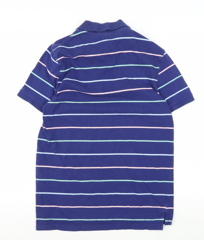 U.S. Polo Assn. Men's Blue Striped Polo Shirt S