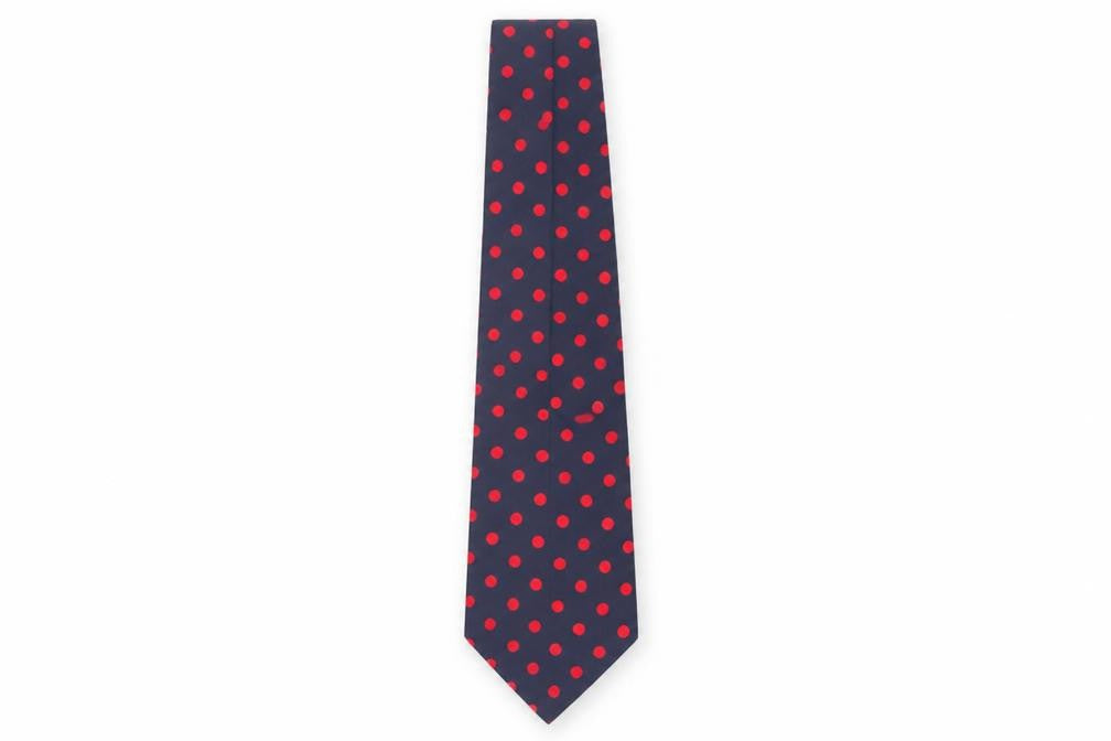 Mens Jonelle Blue Polka Dot 100% Silk  Tie