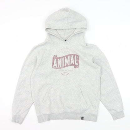 Animal Boys Grey Hoodie, 11-12 Years, Cotton Pullover