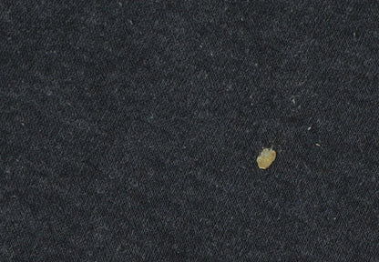 Lee Cooper Men's Black Jogger Trousers M