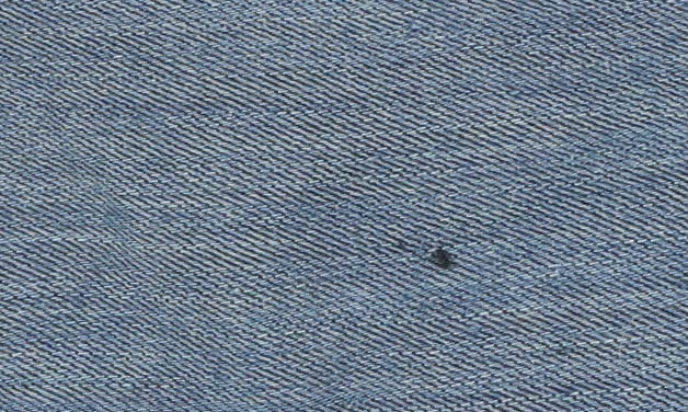 Boohoo Women's Blue Maternity Jeans Size 12