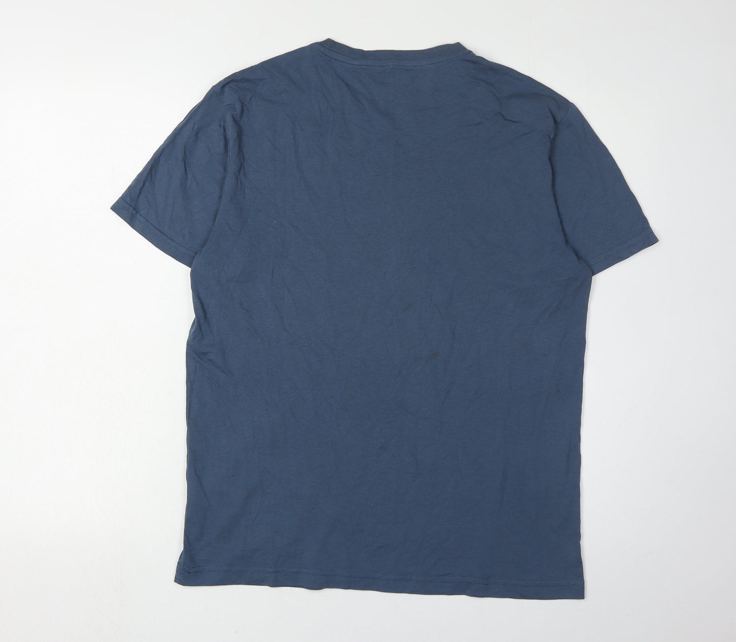 Penguin Men's Blue Graphic T-Shirt, M, Regular Fit