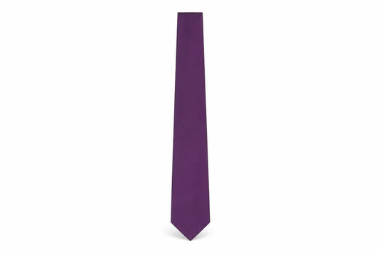 Moss Esq. Men's Purple Silk Tie