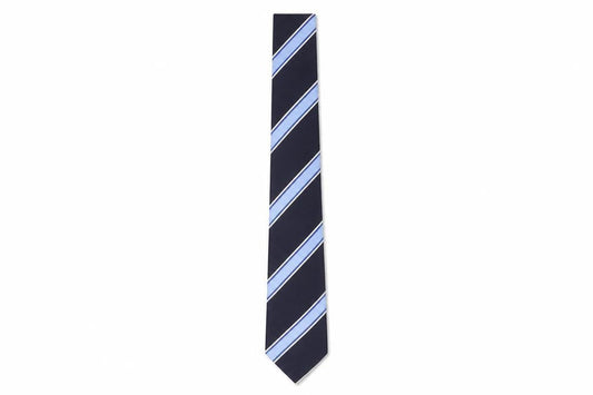 Redgreen Men's Blue Striped Silk Slim Tie