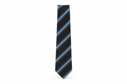 Mens Thomas Nash Multicoloured Striped 100% Silk  Tie