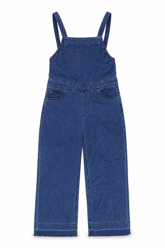 Universal Thread Women's Blue Denim Dungarees, Size 2
