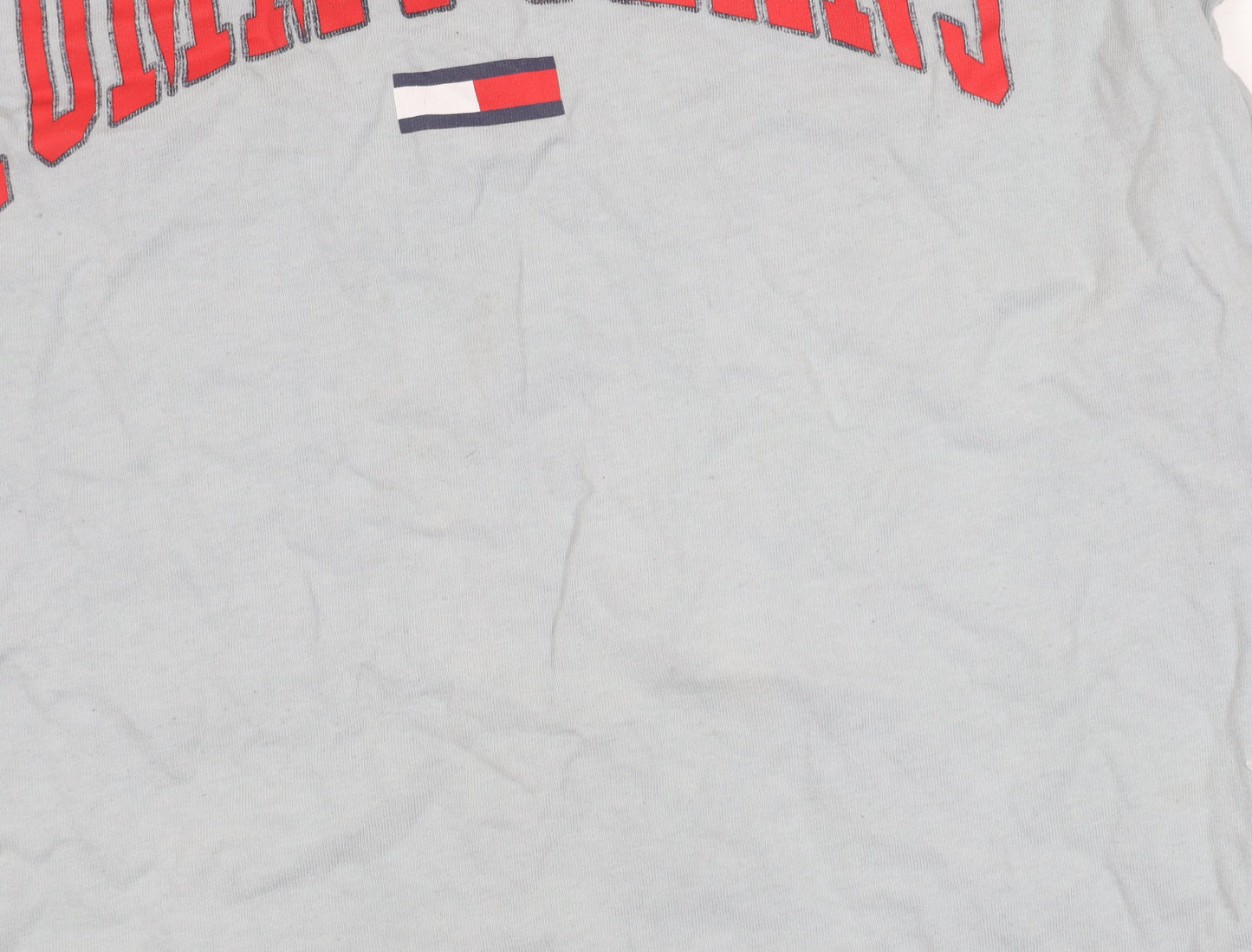 Tommy Jeans Men's Grey XL Regular Fit T-Shirt