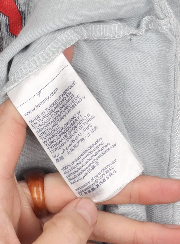 Tommy Jeans Men's Grey XL Regular Fit T-Shirt