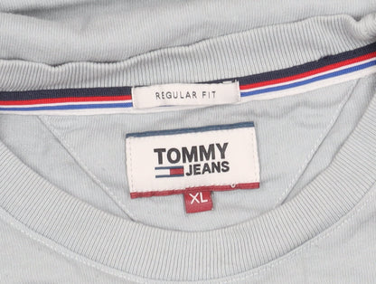 Tommy Jeans Men's Grey XL Regular Fit T-Shirt
