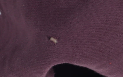 Champion Women's Burgundy Crew Neck Sweatshirt, Medium