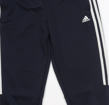 Adidas Boys Blue Track Pants 13-14 Years, L, Running Sports