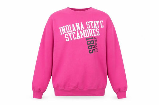 Front view of Champion Pink Indiana State Sweatshirt M unisex adults