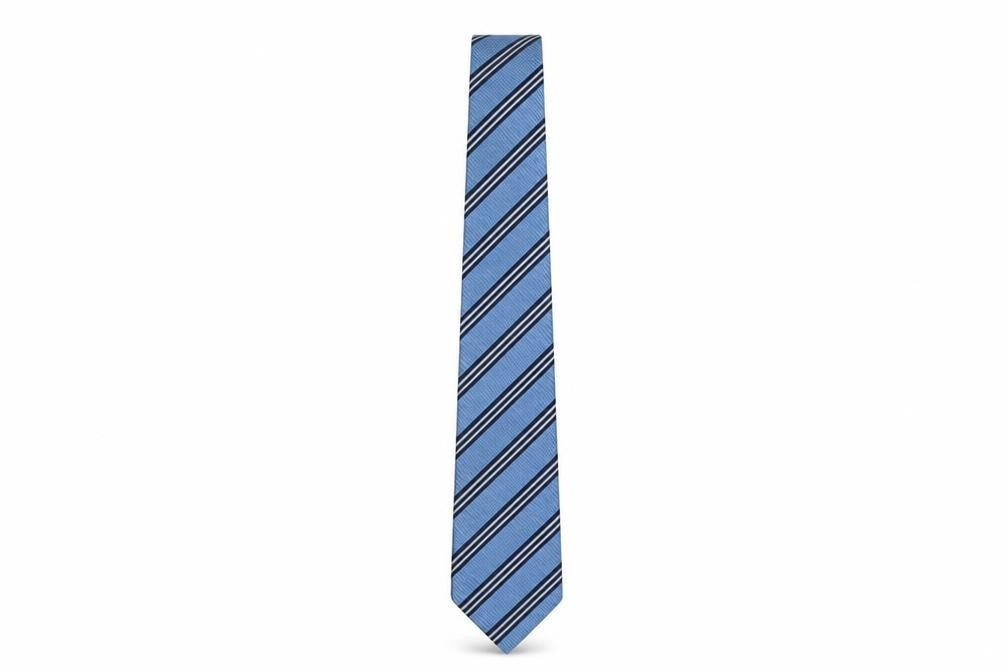 Mens Daniel Hechter Blue Striped 100% Silk  Tie