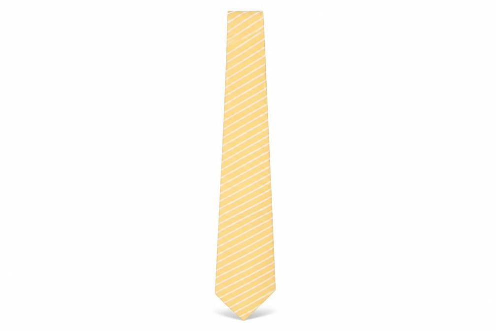 Giorgio Mariani Men's Yellow Striped Silk Tie